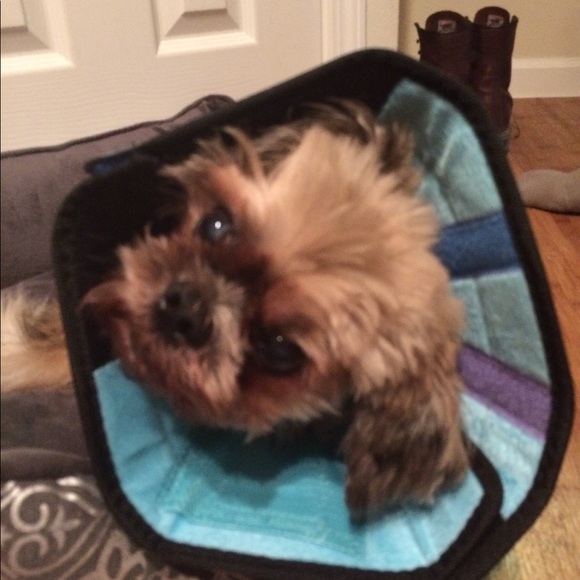 AnnJay and Sam Fashion super stars always in style - Picture 5 of 8